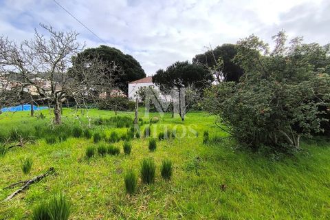 Granja a Darque, Viana do Castelo, Darque - € 425.000 | Ref: D412 - foto 5