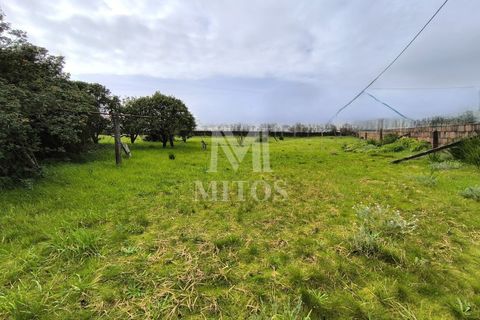 Granja a Darque, Viana do Castelo, Darque - € 425.000 | Ref: D412 - foto 9