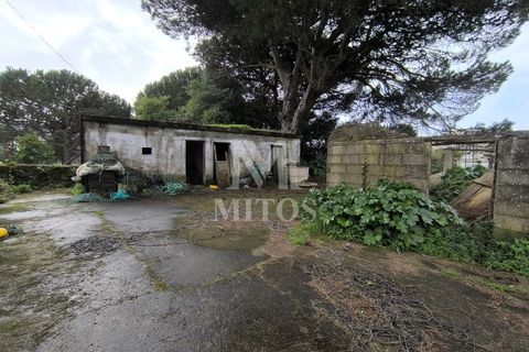 Granja a Darque, Viana do Castelo, Darque - € 425.000 | Ref: D412 - foto 12