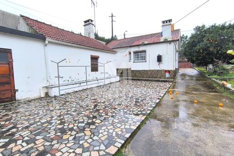 Villa i Viana do Castelo, Viana do Castelo, Viana do Castelo - € 220.000 | Ref: D411 - foto 2