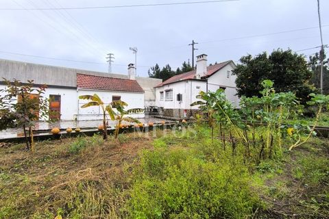 Villa i Viana do Castelo, Viana do Castelo, Viana do Castelo - € 220.000 | Ref: D411 - foto 12