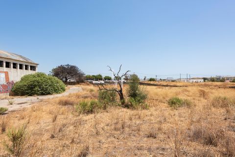 Helårsgrund i Olhao, Faro, Olhao - € 8.900.000 | Ref: 1108 - foto 8