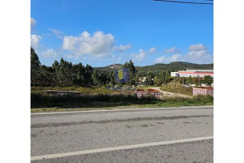 Helårsgrund i Matacaes, Lisbon, Matacaes - € 500.000 | Ref: CAL-217037 - foto 13