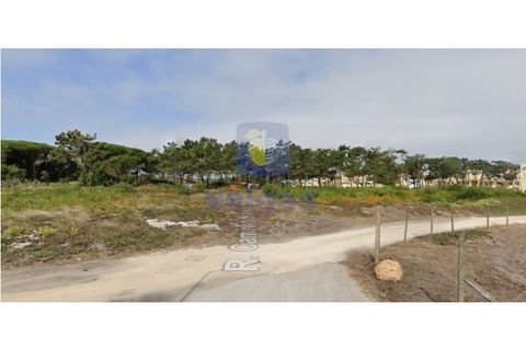 Helårsgrund i A dos Cunhados e Maceira, Lisbon, A dos Cunhados e Maceira - € 900.000 | Ref: CAL-217036 - foto 4