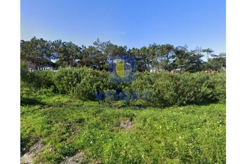 Helårsgrund i A dos Cunhados e Maceira, Lisbon, A dos Cunhados e Maceira - € 900.000 | Ref: CAL-217036 - foto 6