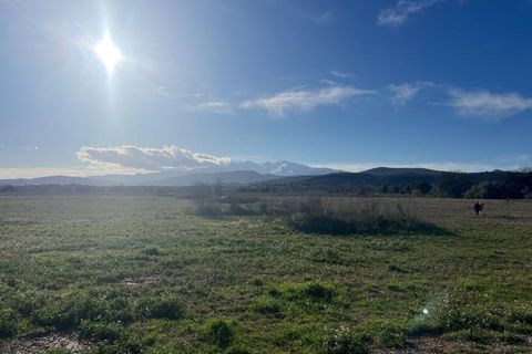 Terra a Llupia, Pyrenees-Orientales, Llupia - € 104.000 | Ref: LLU29 - foto 2