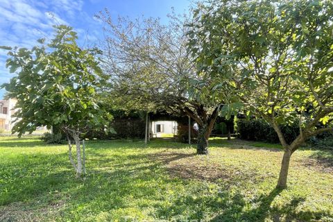 Villa i Cona, Venice, Cona - € 159.000 | Ref: CONP6 - foto 5