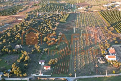 Helårsgrund i Algoz, Faro, Algoz - € 89.000 | Ref: SAFTI:007674 - foto 2