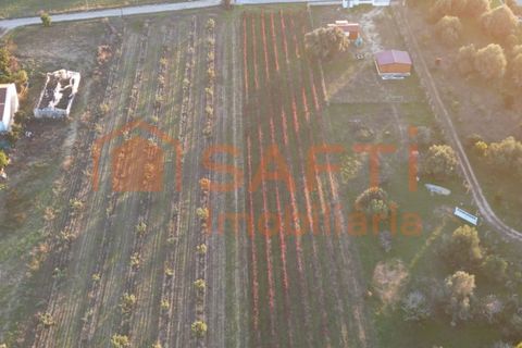 Helårsgrund i Algoz, Faro, Algoz - € 89.000 | Ref: SAFTI:007674 - foto 5