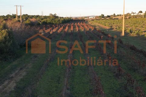 Helårsgrund i Algoz, Faro, Algoz - € 89.000 | Ref: SAFTI:007674 - foto 9
