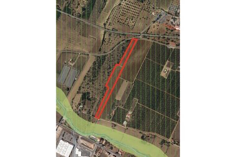 Helårsgrund i Algoz, Faro, Algoz - € 89.000 | Ref: SAFTI:007674 - foto 14