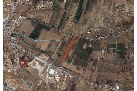 Helårsgrund i Algoz, Faro, Algoz - € 89.000 | Ref: SAFTI:007674 - foto 15