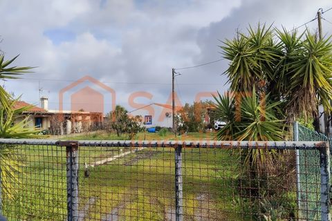 Landejendom i Colos, Beja, Colos - € 315.000 | Ref: SAFTI:007633 - foto 4
