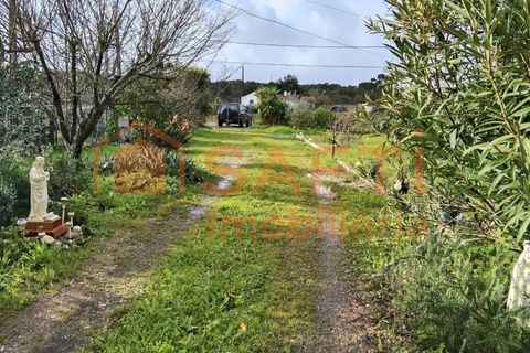 Landejendom i Colos, Beja, Colos - € 315.000 | Ref: SAFTI:007633 - foto 5
