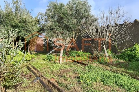 Landejendom i Colos, Beja, Colos - € 315.000 | Ref: SAFTI:007633 - foto 6