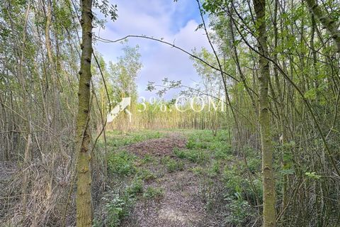 Terra a Narbonne, Aude, Narbonne - € 48.000 | Ref: 498_V5910062863 - foto 2