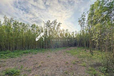 Terra a Narbonne, Aude, Narbonne - € 48.000 | Ref: 498_V5910062863 - foto 4