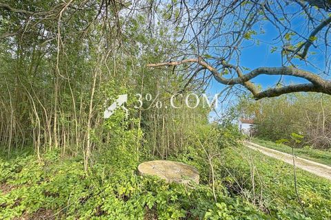Terra a Narbonne, Aude, Narbonne - € 48.000 | Ref: 498_V5910062863 - foto 5