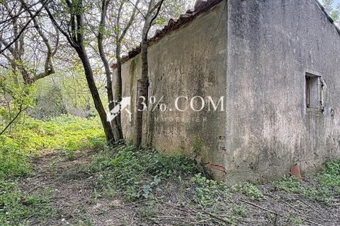 Terra a Narbonne, Aude, Narbonne - € 48.000 | Ref: 498_V5910062863 - foto 6
