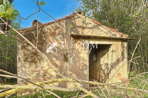 Terra a Narbonne, Aude, Narbonne - € 48.000 | Ref: 498_V5910062863 - foto 12