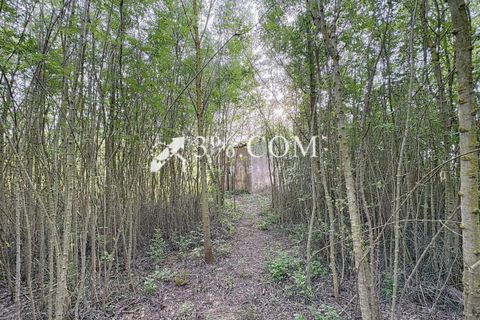 Terra a Narbonne, Aude, Narbonne - € 48.000 | Ref: 498_V5910062863 - foto 16