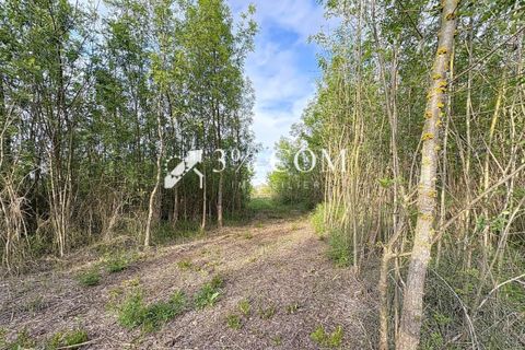 Terra a Narbonne, Aude, Narbonne - € 48.000 | Ref: 498_V5910062863 - foto 17