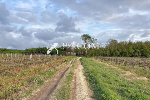 Terra a Narbonne, Aude, Narbonne - € 48.000 | Ref: 498_V5910062863 - foto 19