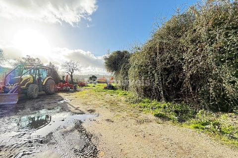 Villa i Abrantes, Santarem, Abrantes - € 130.000 | Ref: 01870-26 - foto 7