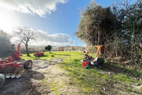 Villa i Abrantes, Santarem, Abrantes - € 130.000 | Ref: 01870-26 - foto 2