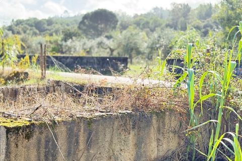 Villa i Abrantes, Santarem, Abrantes - € 130.000 | Ref: 01870-26 - foto 8