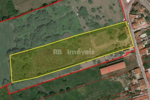 Villa i Abrantes, Santarem, Abrantes - € 130.000 | Ref: 01870-26 - foto 9
