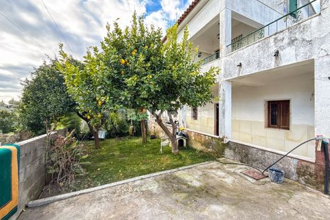 Villa i Mouriscas, Santarem, Mouriscas - € 270.000 | Ref: 01894-26 - foto 3