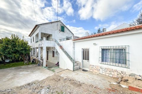 Villa i Mouriscas, Santarem, Mouriscas - € 270.000 | Ref: 01894-26 - foto 11