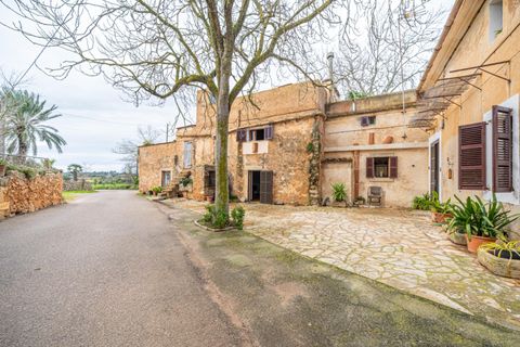 Landhuis in Felanitx, Mallorca - foto 4