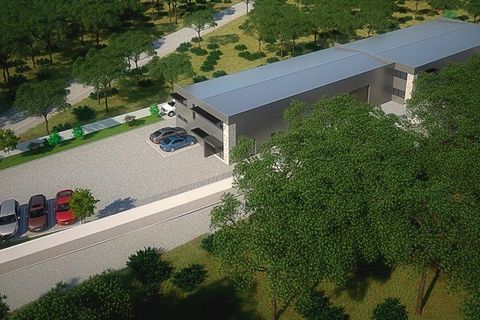 Villa i Batalha, Leiria, Batalha - € 385.000 | Ref: DHL43 - foto 6