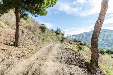 Finca i Competa, Malaga, Competa - € 212.000 | Ref: CP774 - foto 10