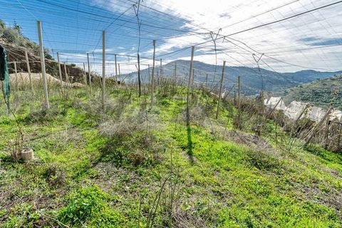 Finca i Competa, Malaga, Competa - € 212.000 | Ref: CP774 - foto 11
