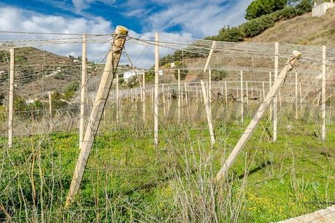 Finca i Competa, Malaga, Competa - € 212.000 | Ref: CP774 - foto 13