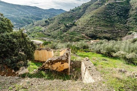 Finca i Competa, Malaga, Competa - € 212.000 | Ref: CP774 - foto 14