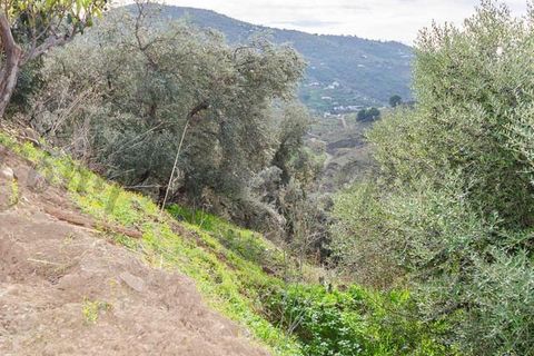 Finca i Competa, Malaga, Competa - € 110.000 | Ref: CP773 - foto 8