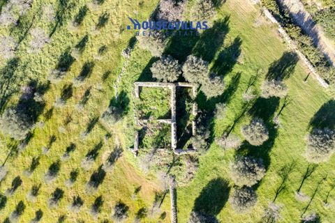 Villa i Noto, Siracusa, Noto - € 720.000 | Ref: 1243 - foto 6