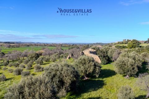 Villa i Noto, Siracusa, Noto - € 720.000 | Ref: 1243 - foto 9