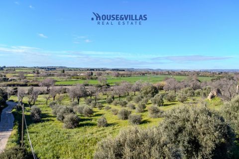 Villa i Noto, Siracusa, Noto - € 720.000 | Ref: 1243 - foto 10
