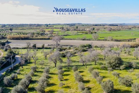 Villa i Noto, Siracusa, Noto - € 720.000 | Ref: 1243 - foto 11