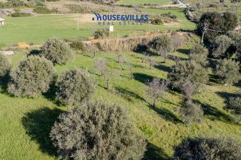Villa i Noto, Siracusa, Noto - € 720.000 | Ref: 1243 - foto 12