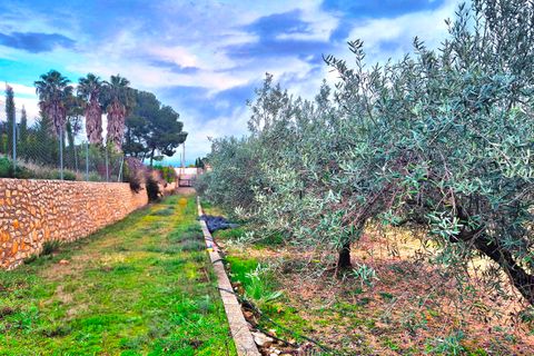 Villa a Ontinyent, Valencia, Ontinyent - € 395.000 | Ref: LOSDH3538 - foto 11