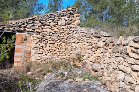Finca i Tivenys, Tarragona, Tivenys - € 16.000 | Ref: Tj2 - foto 6