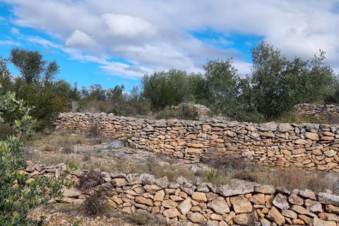 Finca i Tivenys, Tarragona, Tivenys - € 16.000 | Ref: Tj2 - foto 10