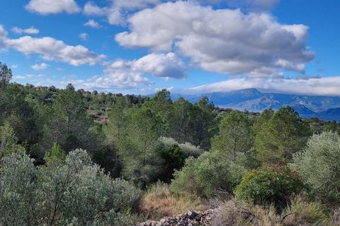 Finca i Tivenys, Tarragona, Tivenys - € 18.000 | Ref: Tj3 - foto 10