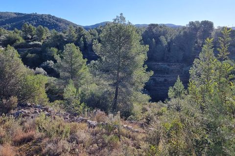 Finca i Tivenys, Tarragona, Tivenys - € 18.000 | Ref: Tj3 - foto 6